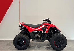 Neumotorrad CFMOTO CForce 110