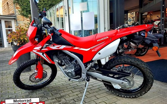 Gebrauchtmotorrad Honda CRF250L - Bild 3