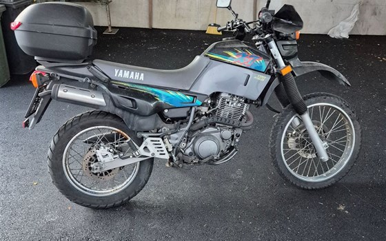 Gebrauchtmotorrad Yamaha XT 500 N - Bild 2