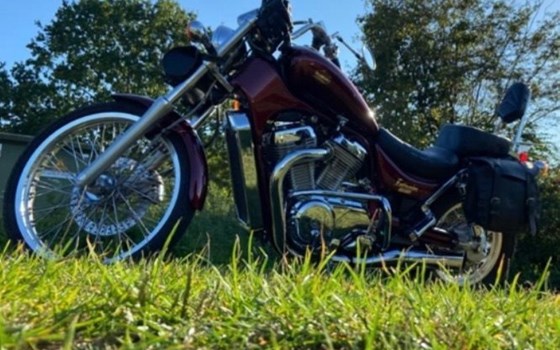 Gebrauchtmotorrad Suzuki Intruder VS 800 - Bild 2