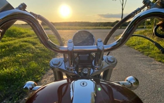 Gebrauchtmotorrad Suzuki Intruder VS 800 - Bild 3