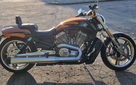 Gebrauchtmotorrad Harley-Davidson V-Rod Muscle VRSCF - Bild 1