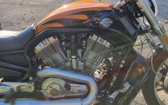 Gebrauchtmotorrad Harley-Davidson V-Rod Muscle VRSCF - Bild 11