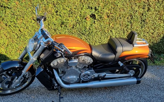 Gebrauchtmotorrad Harley-Davidson V-Rod Muscle VRSCF - Bild 2