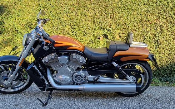 Gebrauchtmotorrad Harley-Davidson V-Rod Muscle VRSCF - Bild 4