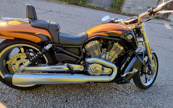 Gebrauchtmotorrad Harley-Davidson V-Rod Muscle VRSCF - Bild 5