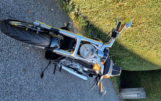 Gebrauchtmotorrad Harley-Davidson V-Rod Muscle VRSCF - Bild 7