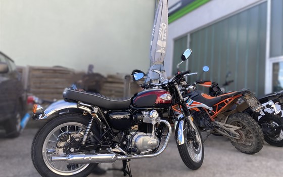 Neufahrzeug Kawasaki W800 - Bild 1