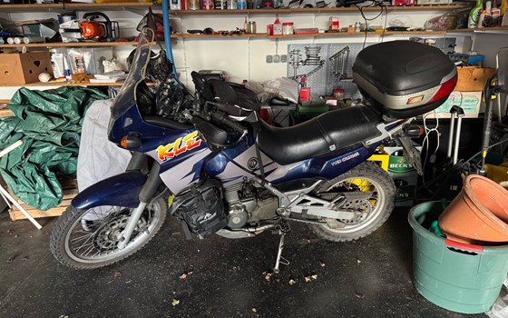 Gebrauchtmotorrad Kawasaki KLE500 - Bild 2