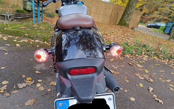 Gebrauchtmotorrad QJ Motor SRV 125 - Bild 2