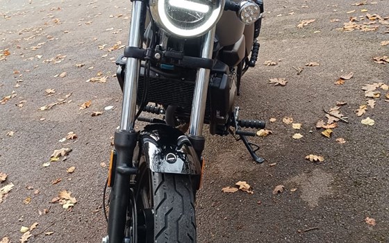 Gebrauchtmotorrad QJ Motor SRV 125 - Bild 4