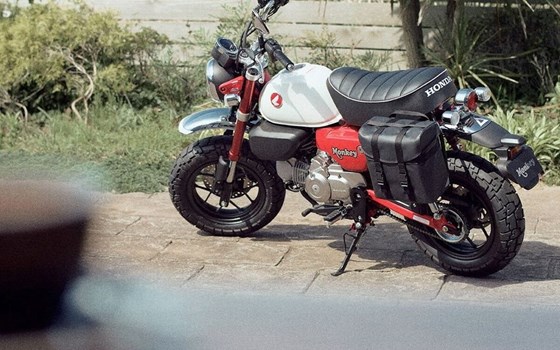 Neufahrzeug Honda Monkey 125 - Bild 2