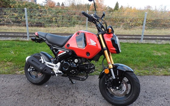 Gebrauchtmotorrad Honda MSX125 Grom - Bild 1