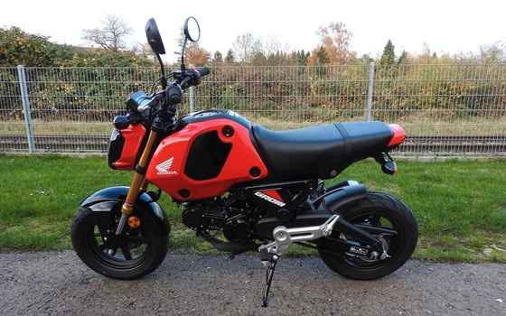 Gebrauchtmotorrad Honda MSX125 Grom - Bild 2