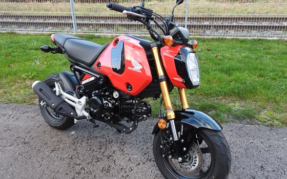 Gebrauchtmotorrad Honda MSX125 Grom - Bild 3