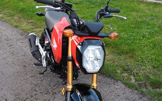 Gebrauchtmotorrad Honda MSX125 Grom - Bild 5