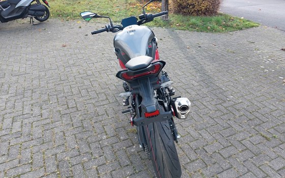 Neufahrzeug Kawasaki Z900 - Bild 11