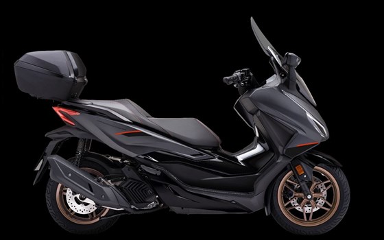 Gebrauchtmotorrad Honda Forza 125 - Bild 2