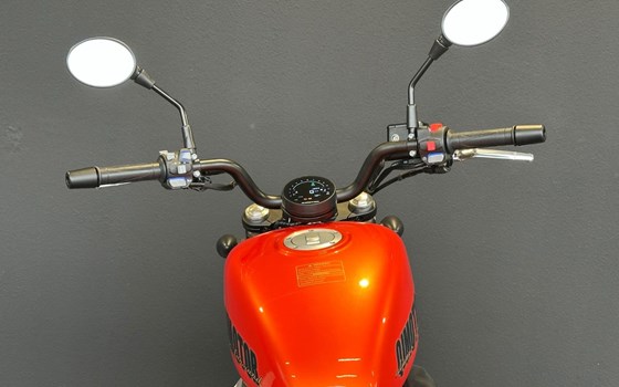 Neufahrzeug QJ Motor SRV12 - Bild 14