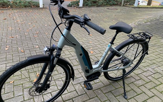 Neufahrzeug Victoria eTrekking - Bild 13