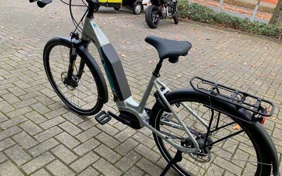 Neufahrzeug Victoria eTrekking - Bild 14