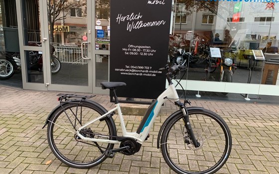 Neufahrzeug Victoria eTrekking - Bild 3