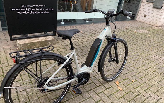 Neufahrzeug Victoria eTrekking - Bild 6