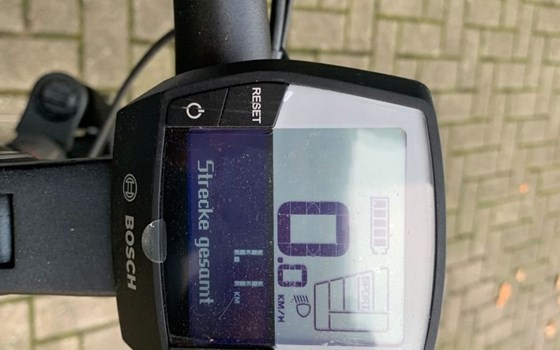 Neufahrzeug Victoria eTrekking - Bild 11