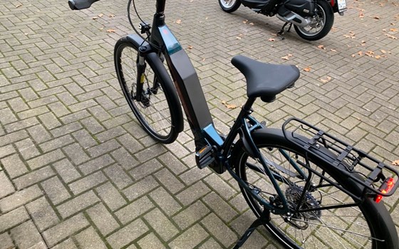 Neufahrzeug Victoria eTrekking - Bild 5