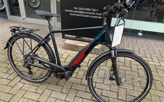 Neufahrzeug Victoria eTrekking - Bild 2