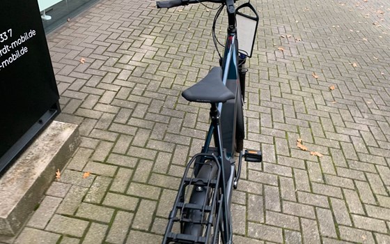 Neufahrzeug Victoria eTrekking - Bild 4