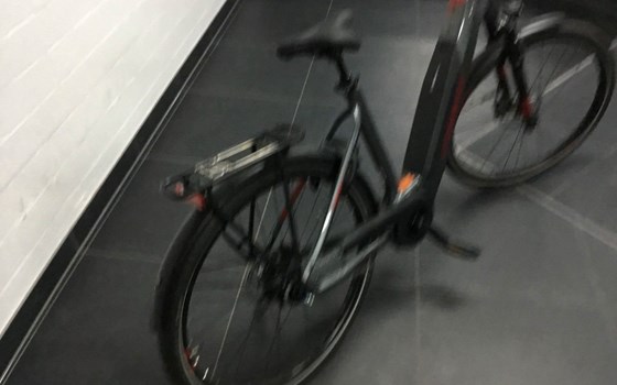 Neufahrzeug Conway CAIRON S 4.0 TRAPEZ - Bild 4