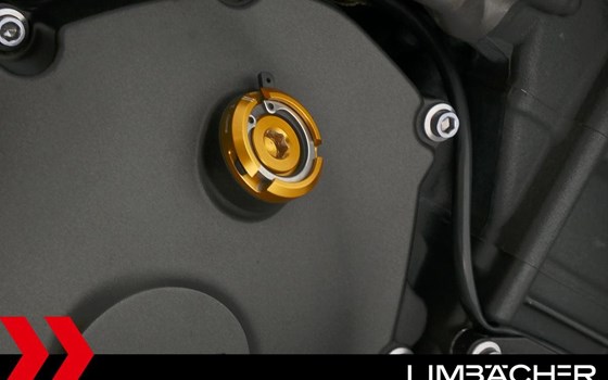 Gebrauchtmotorrad Yamaha R1 - Bild 19