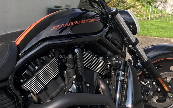 Offerta Harley-Davidson Night Rod Special VRSCDX - Immagine 2