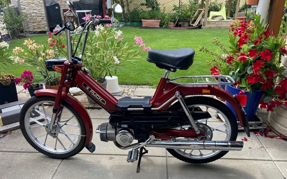 Gebrauchtmotorrad Puch Maxi - Bild 1
