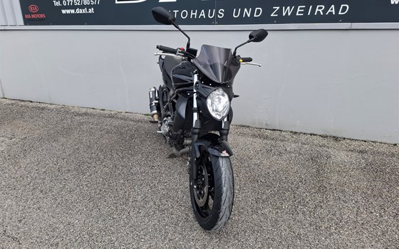 Gebrauchtmotorrad Suzuki SFV 650 Gladius - Bild 3