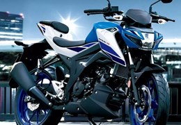 Neumotorrad Suzuki GSX-S125