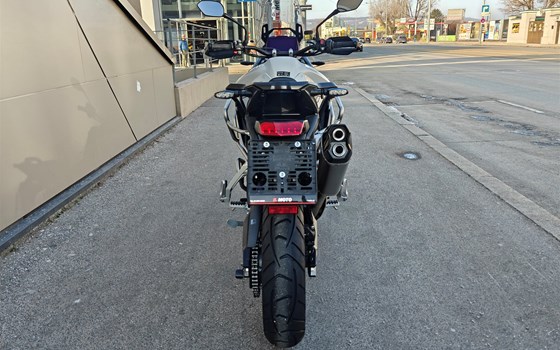 Neufahrzeug Triumph Tiger 900 Alpine Edition - Bild 5