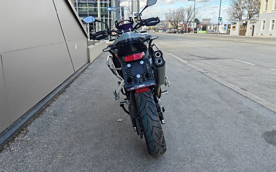 Neufahrzeug Triumph Tiger 900 Rally Pro - Bild 5