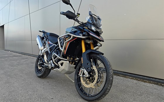 Neufahrzeug Triumph Tiger 900 Rally Pro - Bild 2