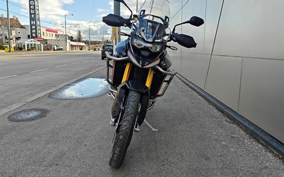 Neufahrzeug Triumph Tiger 900 Rally Pro - Bild 3