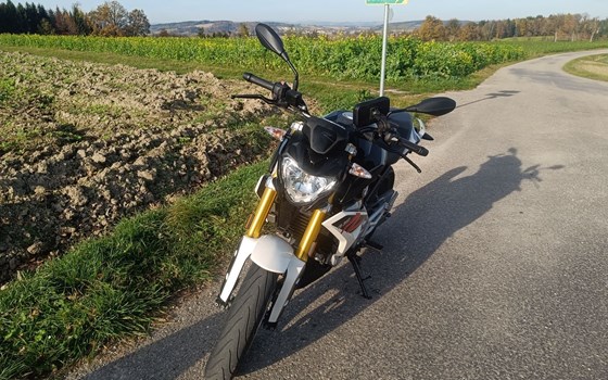 Gebrauchtmotorrad BMW G 310 R - Bild 7