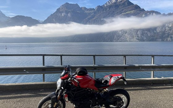 Motorrad Occasion Ducati Monster 1200 R - Bild 1