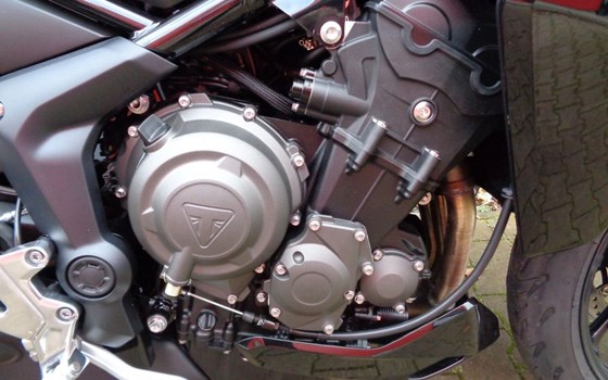 Gebrauchtmotorrad Triumph Tiger Sport 800 - Bild 11