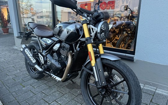 Gebrauchtmotorrad Triumph Scrambler 400 X - Bild 1