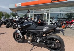 Neumotorrad Husqvarna Svartpilen 801