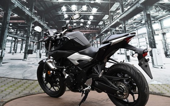Gebrauchtmotorrad Yamaha MT-03 - Bild 13
