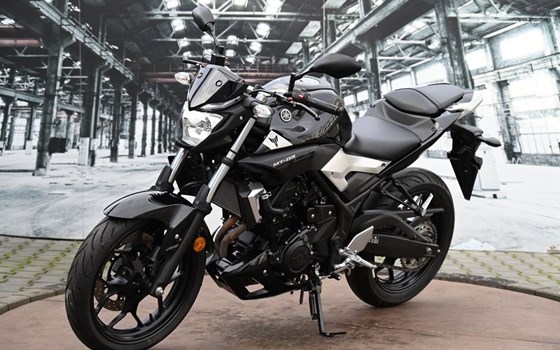 Gebrauchtmotorrad Yamaha MT-03 - Bild 6