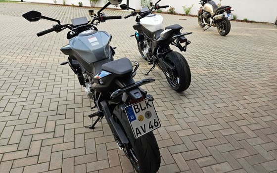 Neufahrzeug CFMOTO 675NK - Bild 22