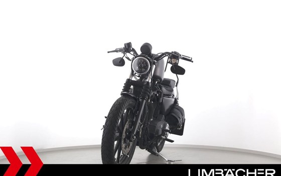 Gebrauchtmotorrad Harley-Davidson Sportster XL 883 N Iron - Bild 3
